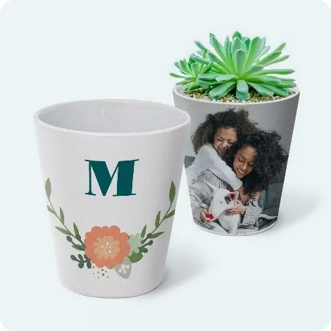 Vaso